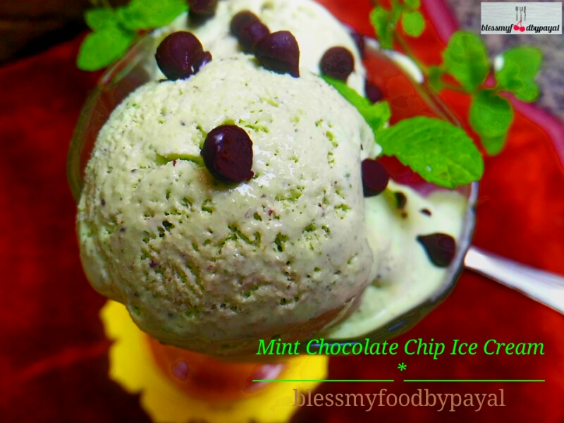 Mint Chocolate Chip Ice Cream