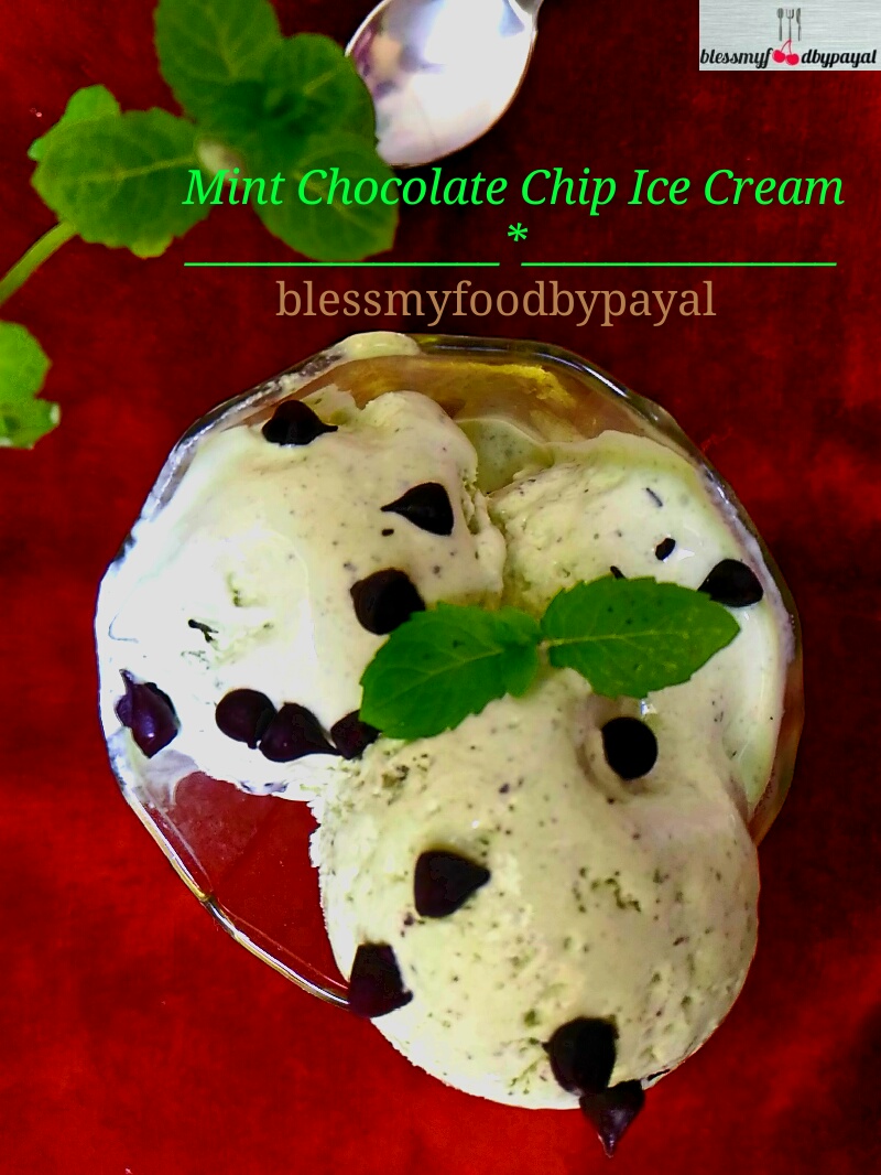 Mint Chocolate Chip Ice Cream