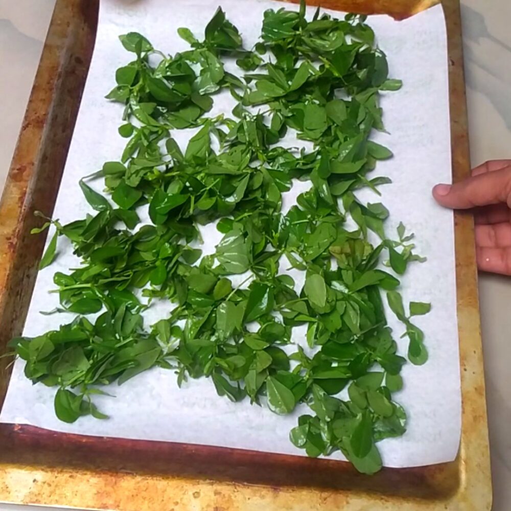 How To Make Kasuri Methi At Home Air Fryer Oven And Microwave Methods 